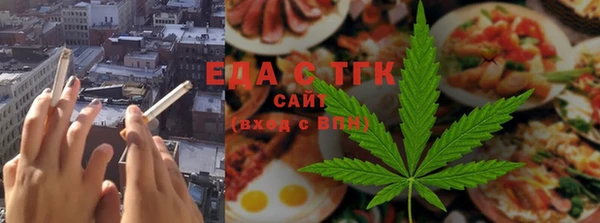 ГАЛЛЮЦИНОГЕННЫЕ ГРИБЫ Тайга