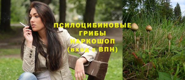 альфа пвп Бугульма